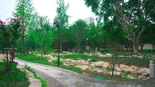 整修历时一年 徐州市中心老公园,终于开放啦