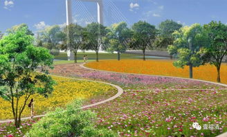 花海观景区 城市菜地,福清这个新建湿地公园,颜值爆表